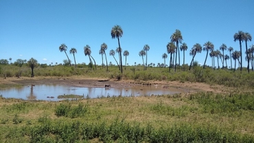 El Palmar: belleza, tranquilidad y descanso en un solo lugar