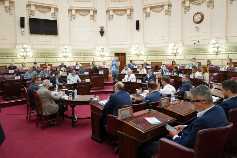 El Senado aprobó la reforma de la Constitución provincial