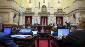 El Senado aprobó la suspensión de las PASO en una sesión cargada de tensiones