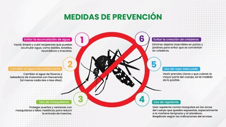 DENGUE: TODO LO QUE NECESITÁS SABER PARA CUIDARTE EN VERANO
