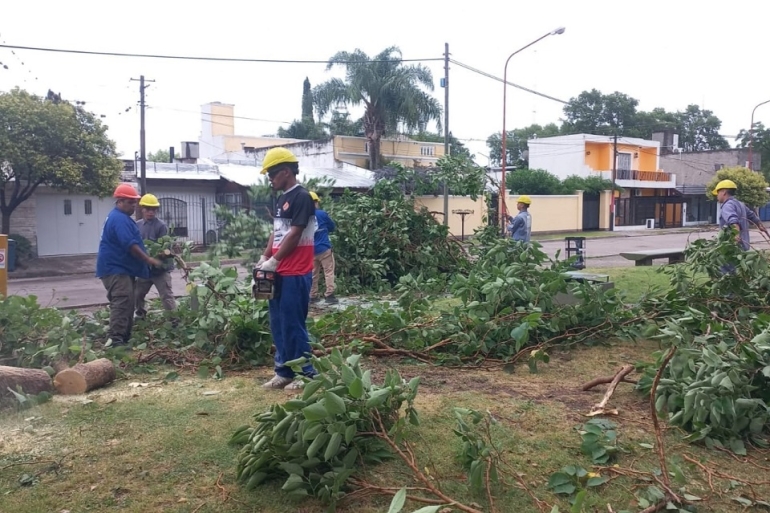 CUADRILLAS DE SERVICIOS PÚBLICOS TRABAJAN EN LA REMOCIÓN DE RAMAS CAÍDAS TRAS LA TORMENTA